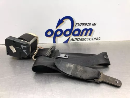 Veiligheidsgordel links-voor-8269829