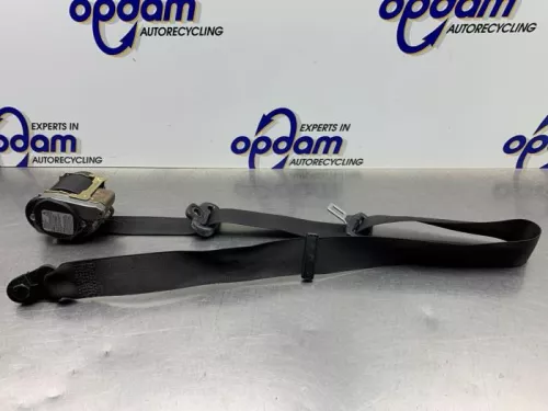 Veiligheidsgordel links-voor-8294315