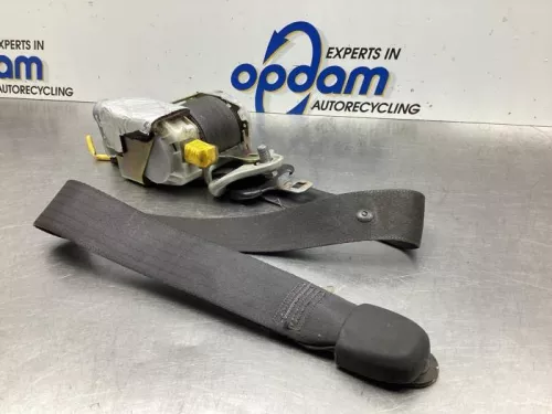 Veiligheidsgordel links-voor-7876534