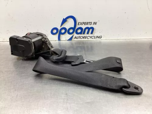 Veiligheidsgordel links-voor-7993967