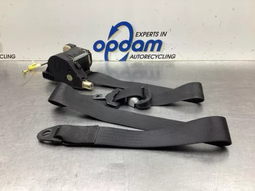 Veiligheidsgordel links-voor-8093868