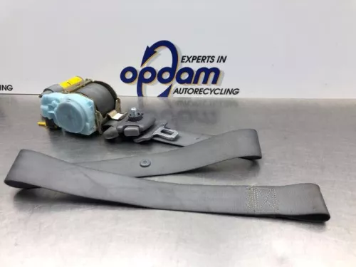 Veiligheidsgordel links-voor-8178082