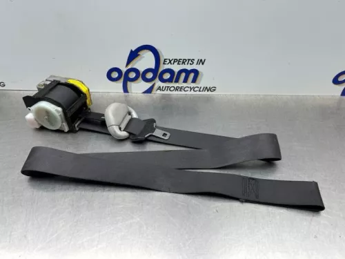 Veiligheidsgordel links-voor-8300775