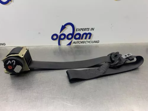 Veiligheidsgordel links-voor-8297811