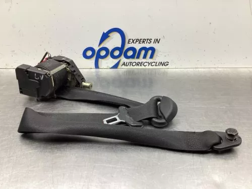 Veiligheidsgordel links-voor-8041500