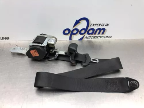 Veiligheidsgordel links-voor-8247223