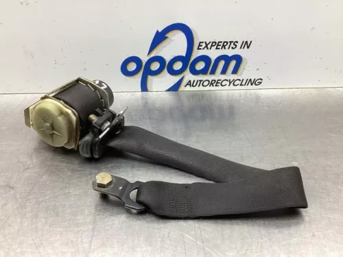 Veiligheidsgordel links-voor-7994448