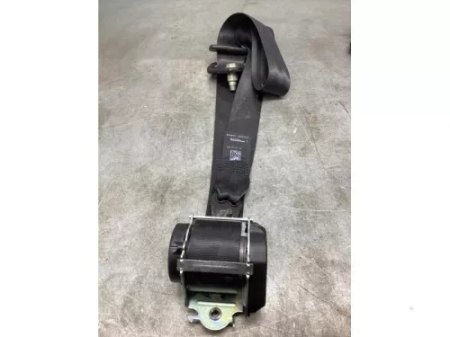 Veiligheidsgordel links-voor-7939812