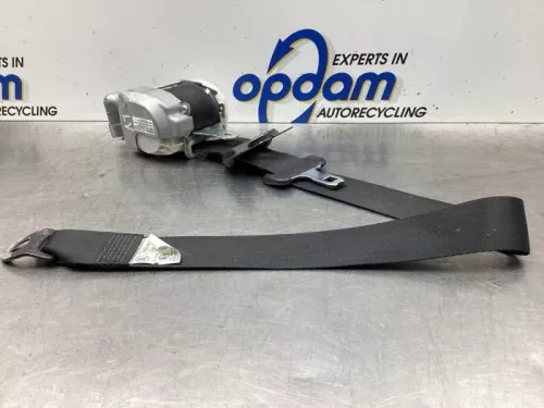 Veiligheidsgordel links-voor-7842741