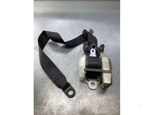 Veiligheidsgordel links-voor-7819846