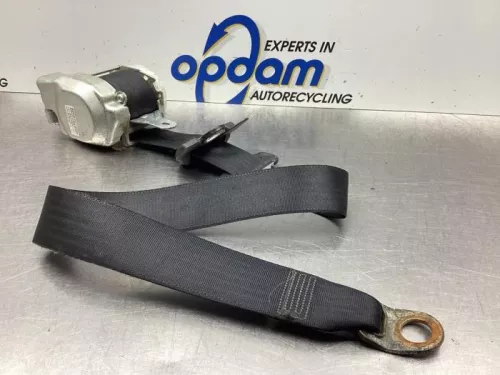 Veiligheidsgordel links-voor-7916538