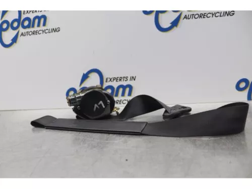 Veiligheidsgordel links-voor-7877551