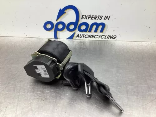 Veiligheidsgordel midden-achter-7928022