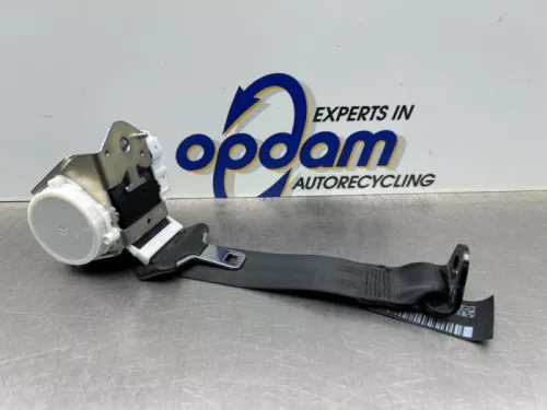 Veiligheidsgordel midden-achter-8170729