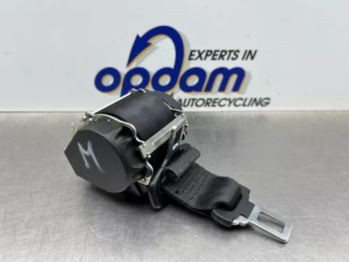 Veiligheidsgordel midden-achter-8152307