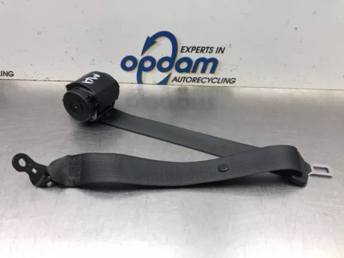 Veiligheidsgordel midden-achter-8098609