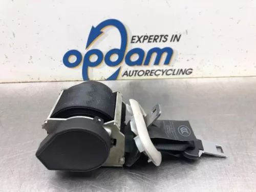 Veiligheidsgordel midden-achter-8081229