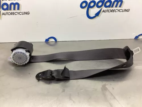 Veiligheidsgordel midden-achter-8294956