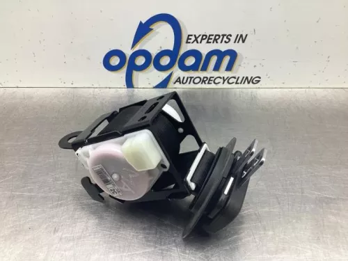 Veiligheidsgordel midden-achter-8048634