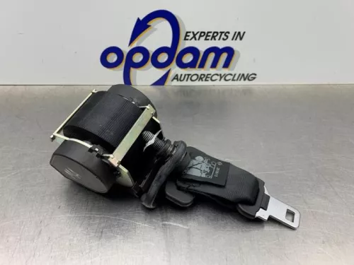 Veiligheidsgordel midden-achter-8150924