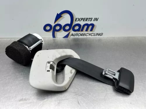 Veiligheidsgordel midden-achter-8177599