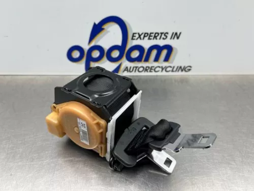 Veiligheidsgordel midden-achter-8195532