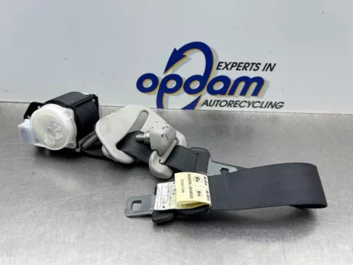 Veiligheidsgordel midden-achter-8316420