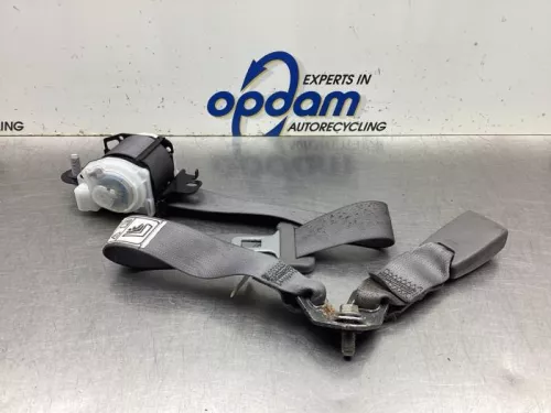 Veiligheidsgordel midden-achter-8042921