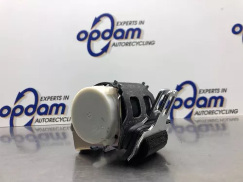 Veiligheidsgordel midden-achter-8232689