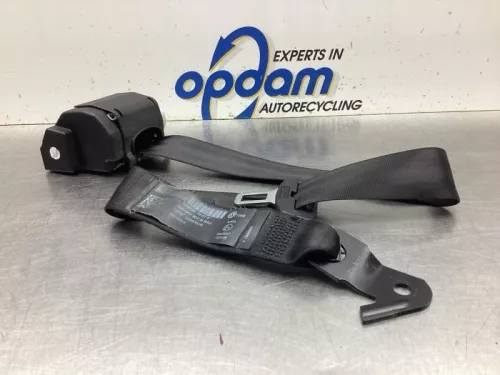 Veiligheidsgordel midden-achter-8070949