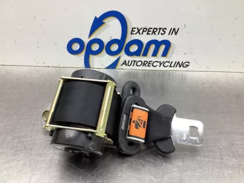 Veiligheidsgordel midden-achter-8036890