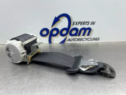 Veiligheidsgordel midden-achter-8284701