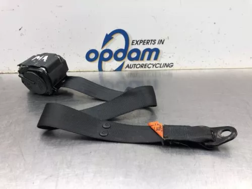 Veiligheidsgordel midden-achter-7981023