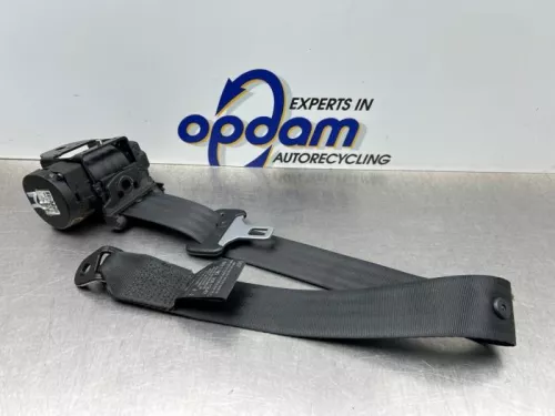 Veiligheidsgordel midden-achter-8260013