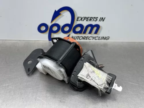 Veiligheidsgordel midden-achter-8318323