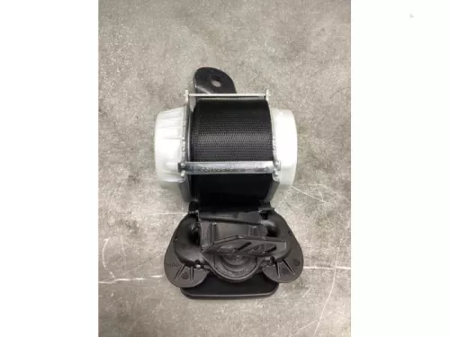 Veiligheidsgordel midden-achter-8093675