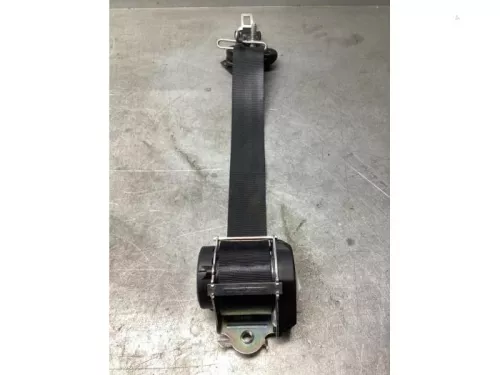 Veiligheidsgordel midden-achter-7939812