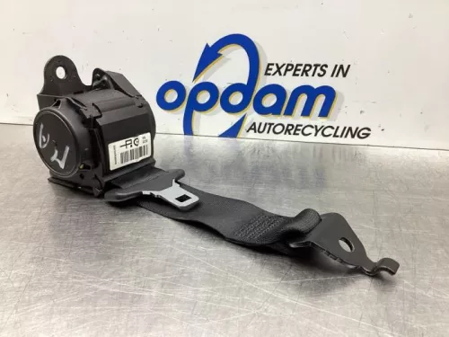 Veiligheidsgordel midden-achter-7911337