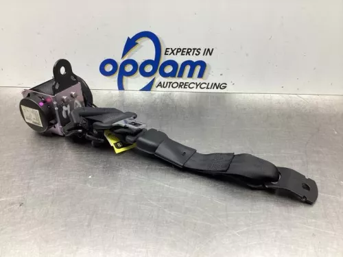 Veiligheidsgordel midden-achter-6109423