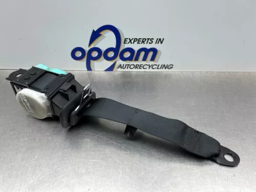 Veiligheidsgordel midden-achter-7894254