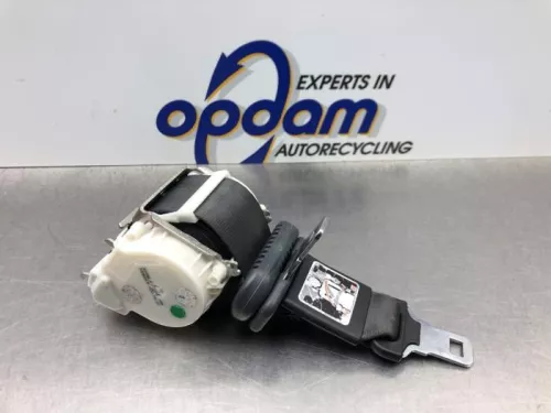 Veiligheidsgordel midden-achter-8242075