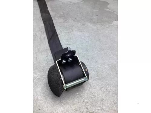 Veiligheidsgordel midden-achter-8068433