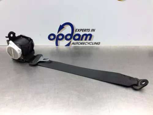 Veiligheidsgordel rechts-achter-8175511