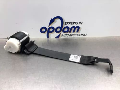 Veiligheidsgordel rechts-achter-8268999