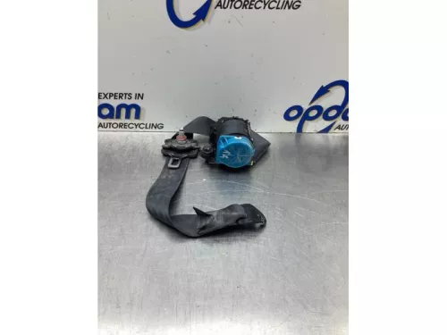 Veiligheidsgordel rechts-achter-8099326