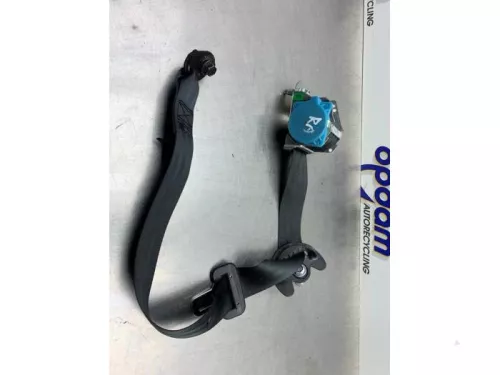 Veiligheidsgordel rechts-achter-8280989