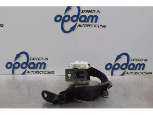 Veiligheidsgordel rechts-achter-7589614