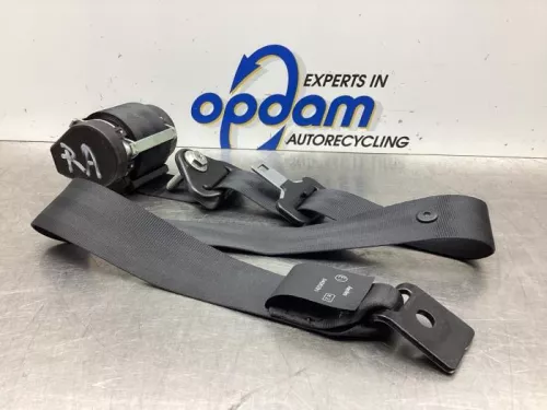 Veiligheidsgordel rechts-achter-7928929