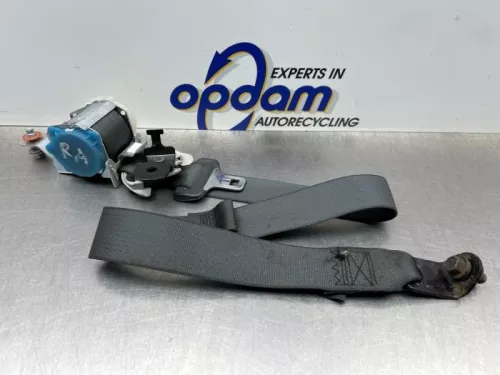 Veiligheidsgordel rechts-achter-8188069