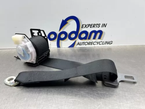 Veiligheidsgordel rechts-achter-7894254